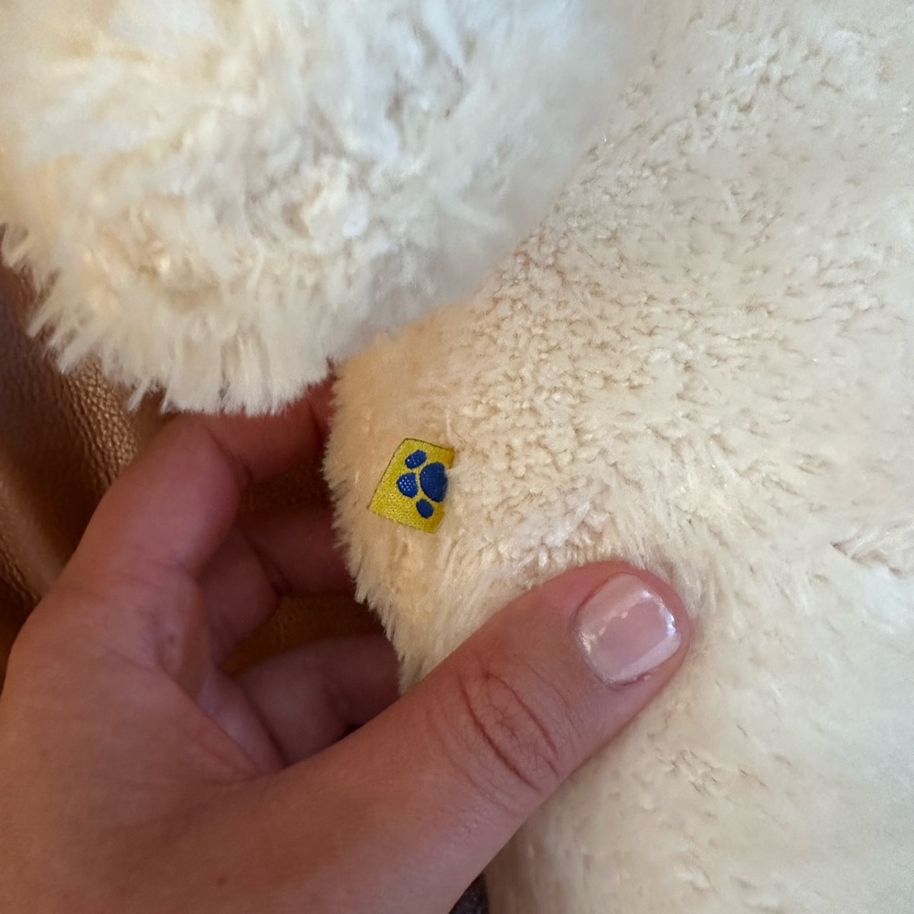 Build-a-Bear Teddy Bear - Picture 2 of 6